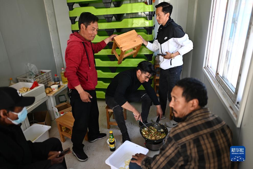 天下牌棋app